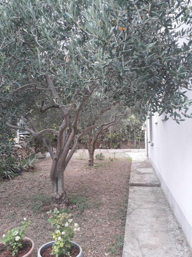 Apartments Boljat Trogir Bagian luar foto